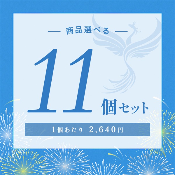 【2026 SUMMER! SUMMER! SUMMER! キャンペーン】商品選べる11個セット
