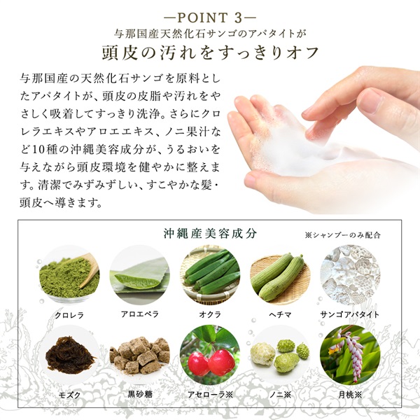 薬用ホワイトヘアトリートメントボトルイン (カーブチーの香り) 詳細画像