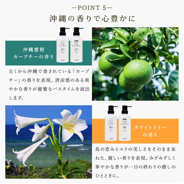 薬用ホワイトヘアトリートメントボトルイン (カーブチーの香り) 詳細画像