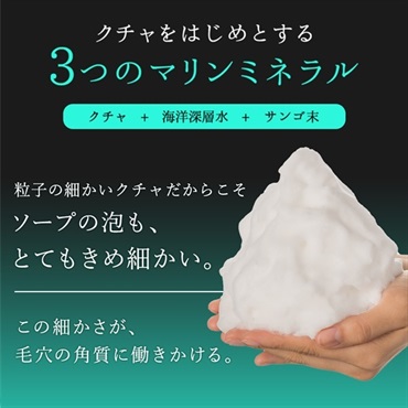 琉球のホワイトマリンクレイ洗顔石鹸 （島レモンの香り） チューブ200g 詳細画像