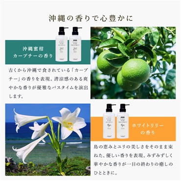 【オンライン限定】薬用ヘア＆ボディケアセット（ヘッドブラシ付き） 詳細画像