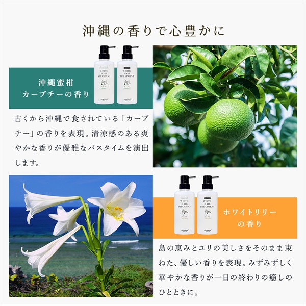 【オンライン限定】薬用ヘア＆ボディケアセット（ヘッドブラシ付き） 詳細画像